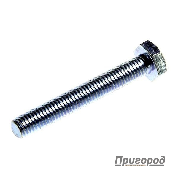 Болт оцинкованный 10х 70